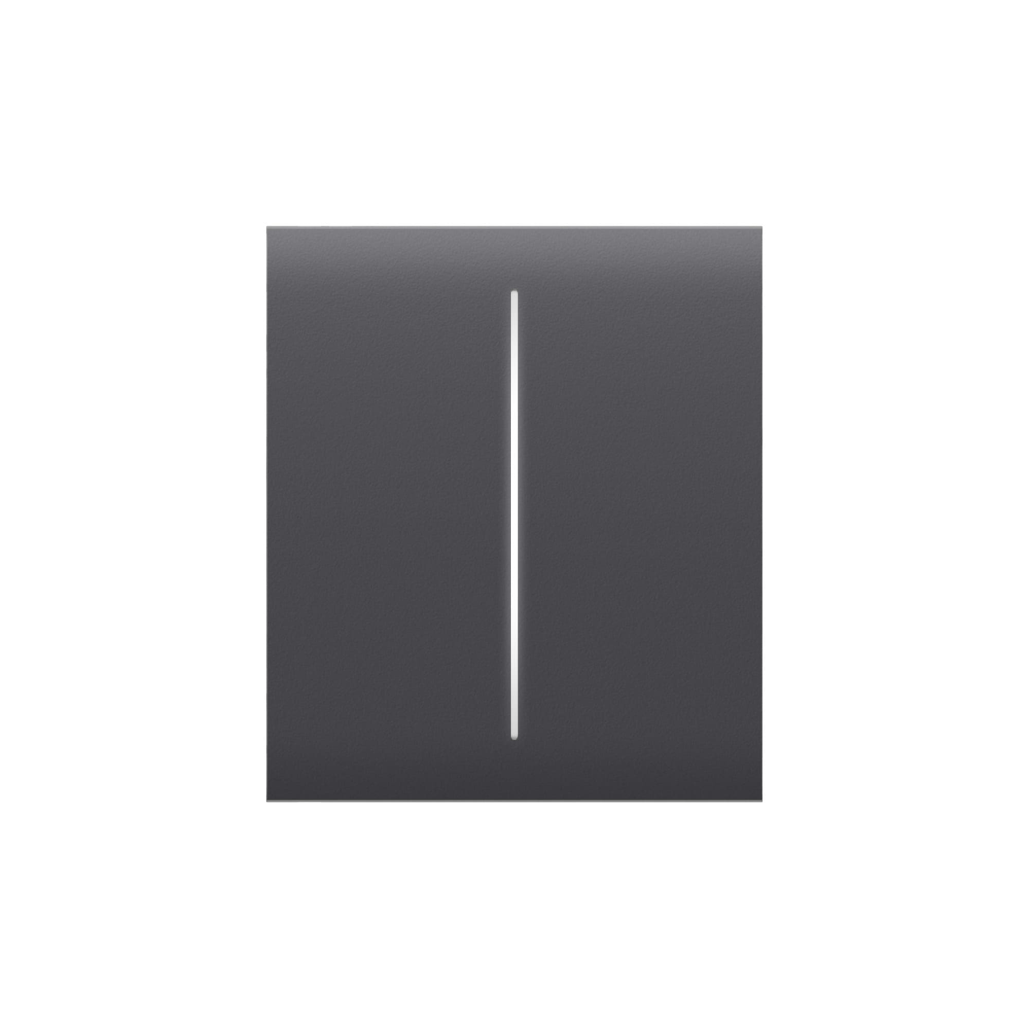 CenterButton graphite (2-gang)