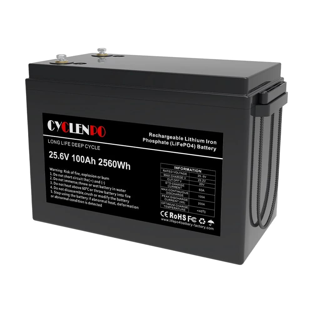 25.6V 100AH LiFePo4 (44-00080)