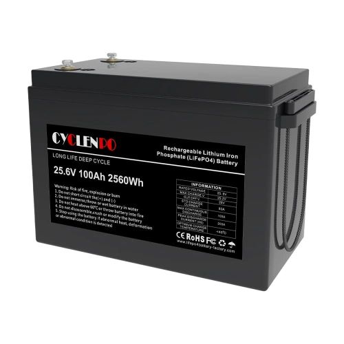 25.6V 100AH LiFePo4 (44-00080)