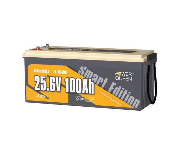 Power Queen PowerQueen-24V100Ah-BT 24V 100Ah BT, 2560Wh, BMS 100A, 532*207*215мм