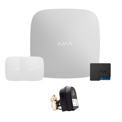 Ajax Ajax Hub + LeaksProtect (2од) + WallSwitch + Кран з електроприводом Honeywell 220 One ДУ32 (HAV32)