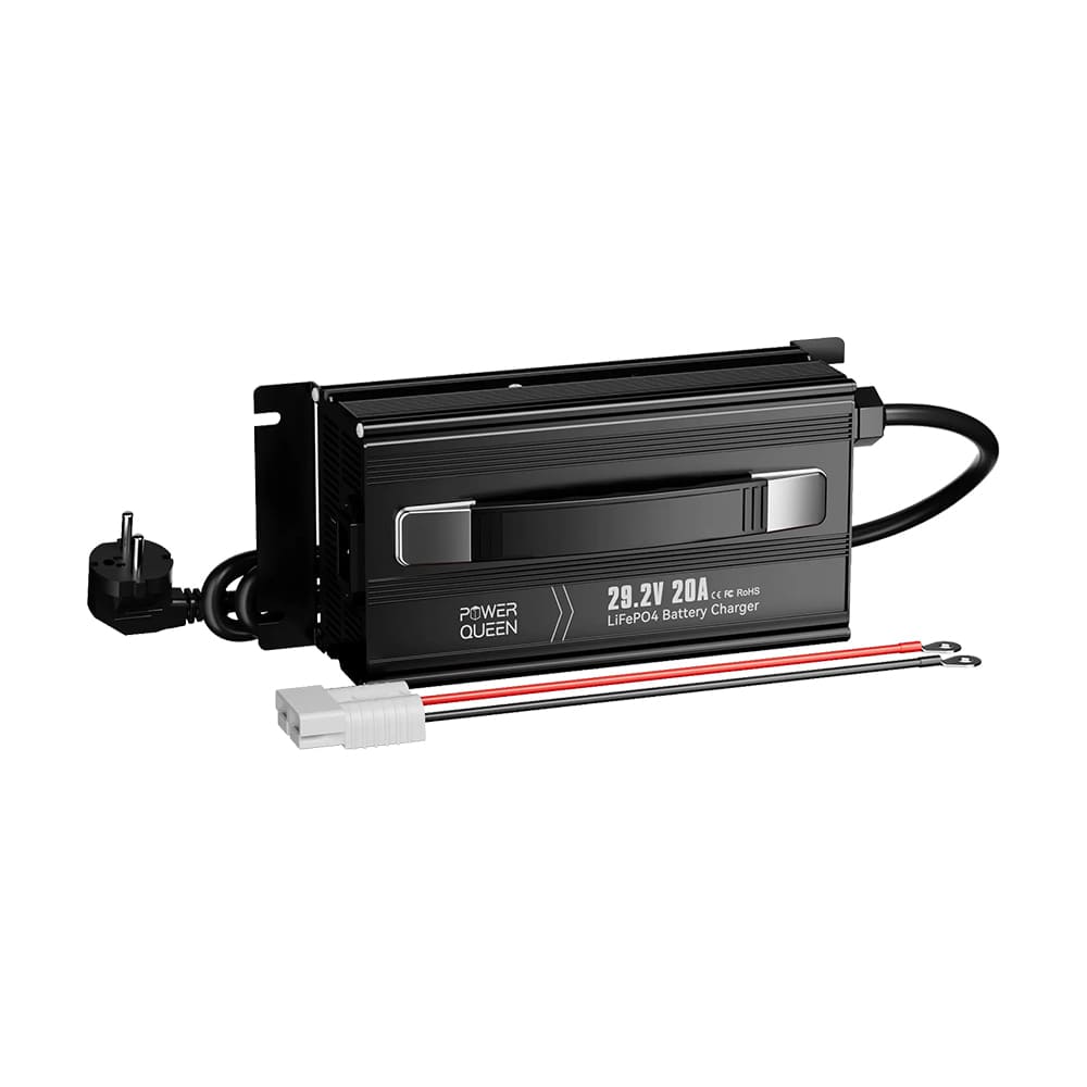 29.2V/20A P24V20A-BCHA-MINI-X (44-00530)