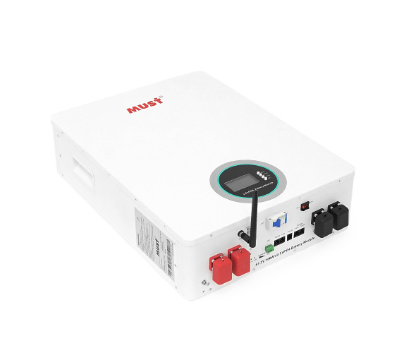 LP16-48100 (LV/51.2V/100Ah/5.1kWh/ LiFePO4)