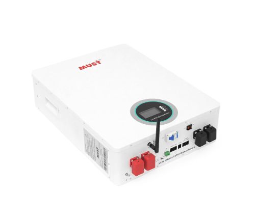 LP16-48100 (LV/51.2V/100Ah/5.1kWh/ LiFePO4)